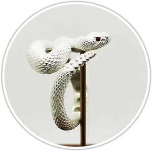 Domineering Black Silver Snake Ring For Man Women Vintage Punk Rattlesnake Adjustable Ring Teenager Gothic Hip Hop Halloween Snake Ring for Women